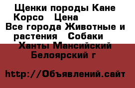 Щенки породы Кане-Корсо › Цена ­ 25 000 - Все города Животные и растения » Собаки   . Ханты-Мансийский,Белоярский г.